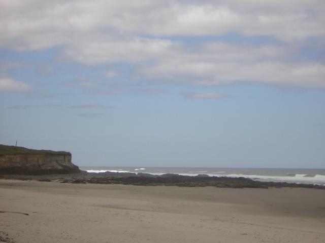 DSCN2226.jpg