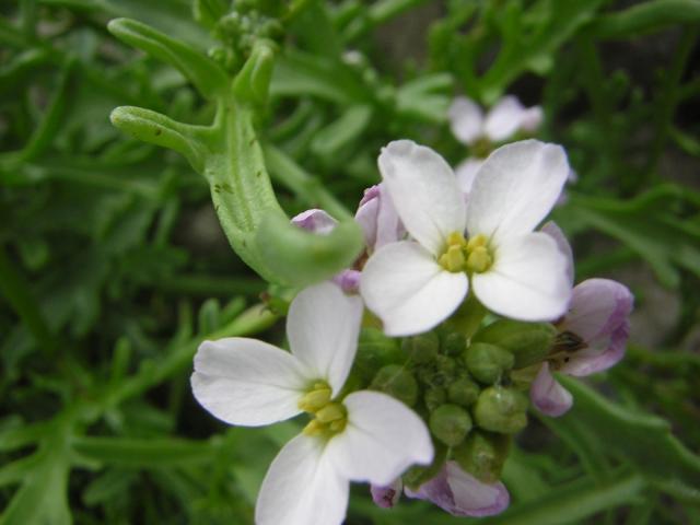 DSCN2228.jpg
