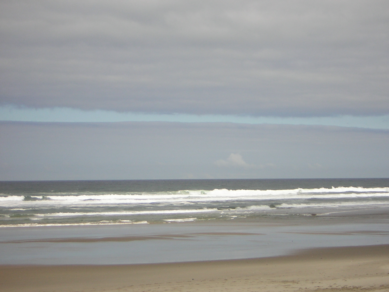 DSCN2229.jpg