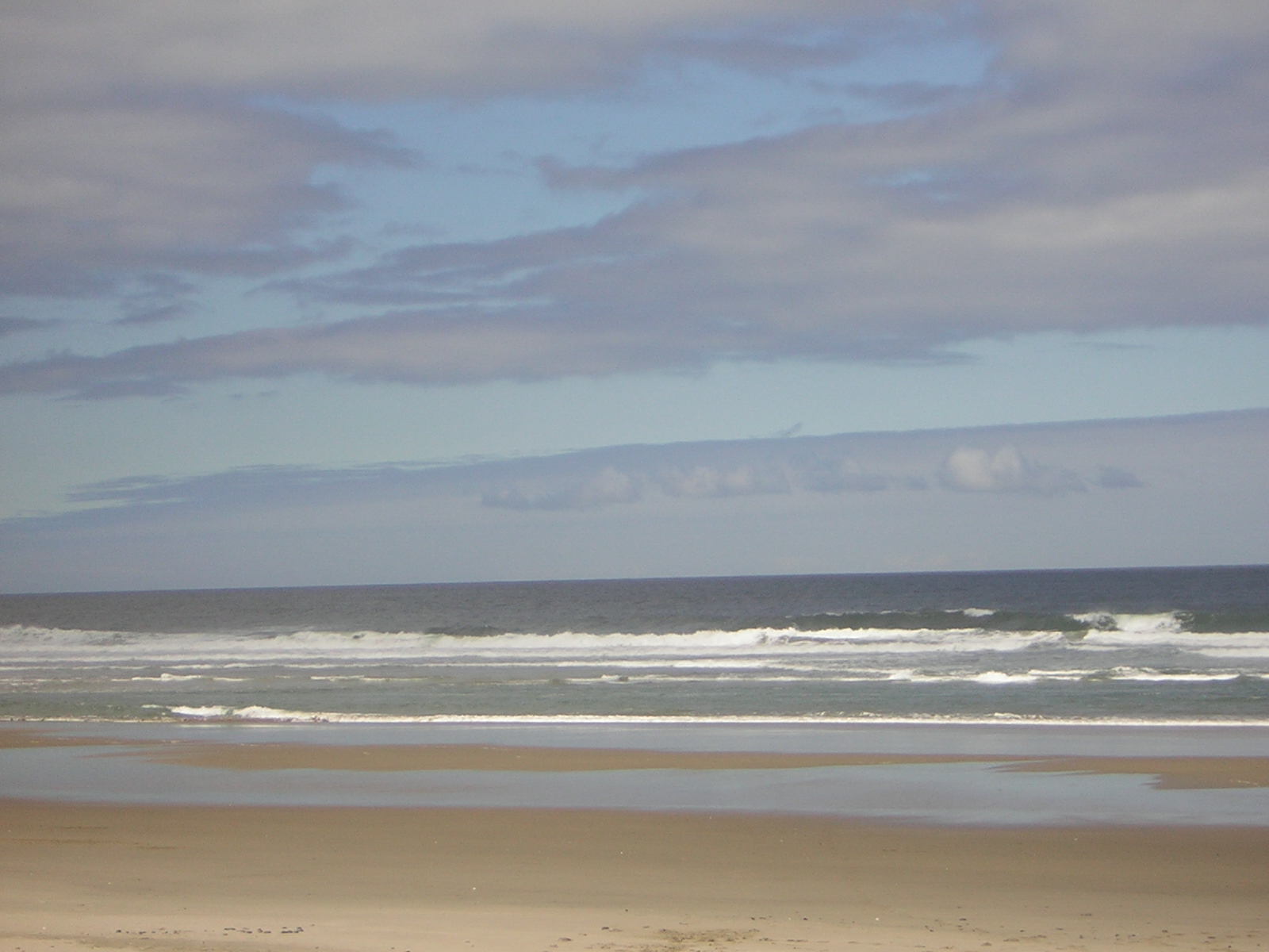 DSCN2230.jpg