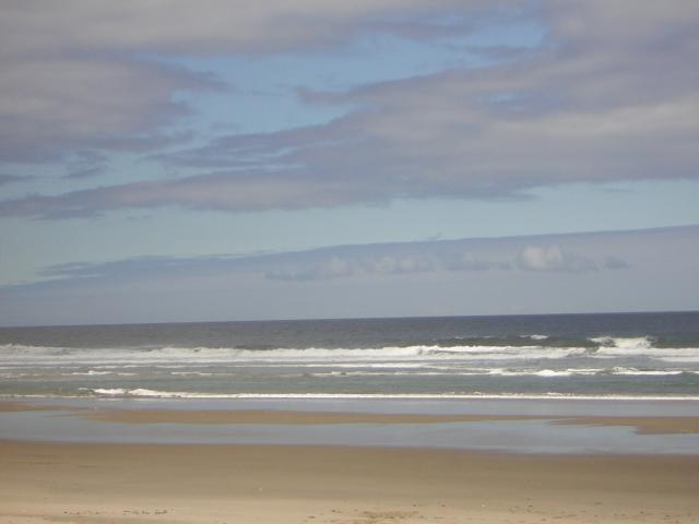 DSCN2230.jpg
