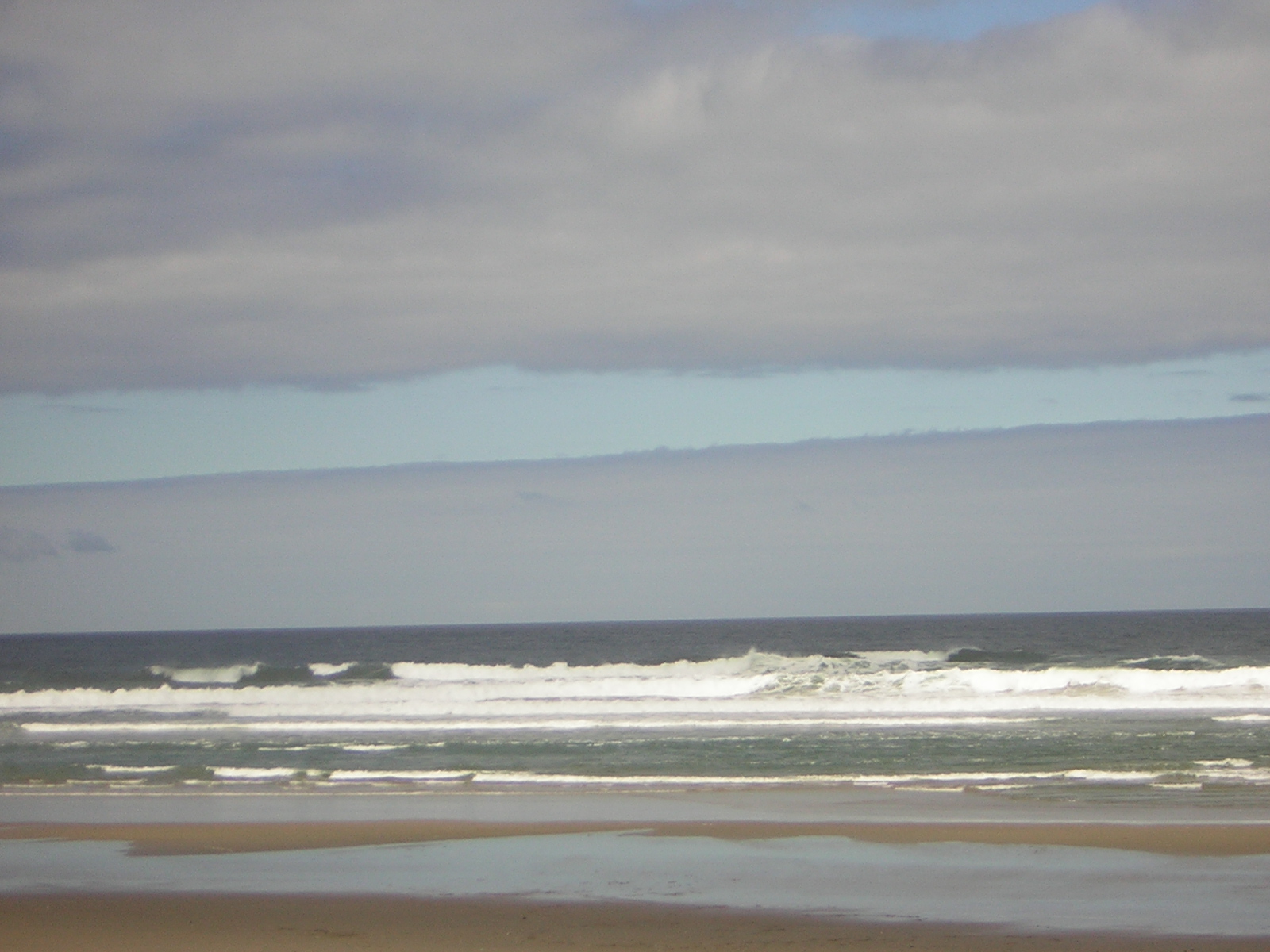 DSCN2231.jpg