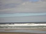 DSCN2231.jpg