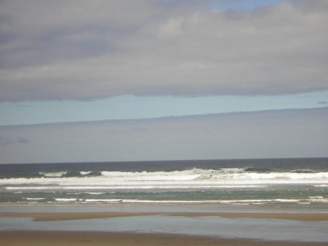 DSCN2231.jpg