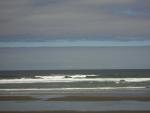 DSCN2232.jpg