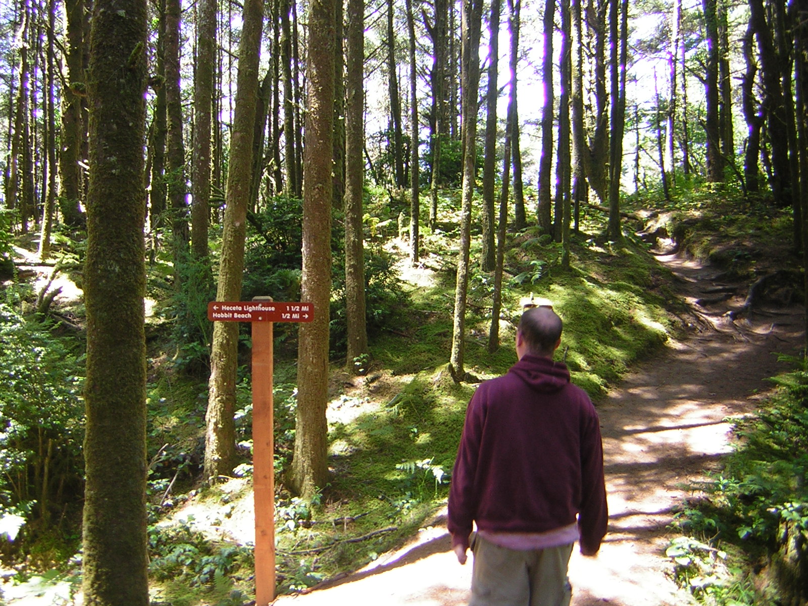 DSCN2233.jpg