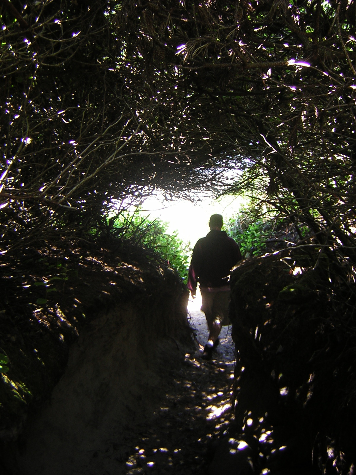 DSCN2235.jpg