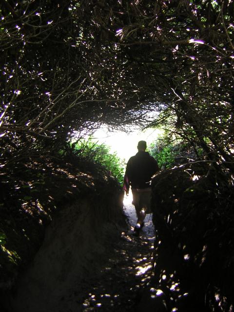 DSCN2235.jpg