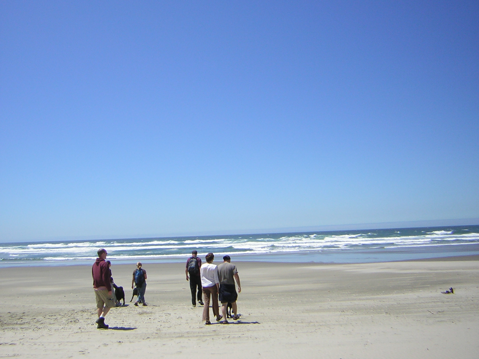 DSCN2239.jpg