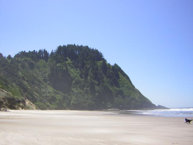 DSCN2241.jpg