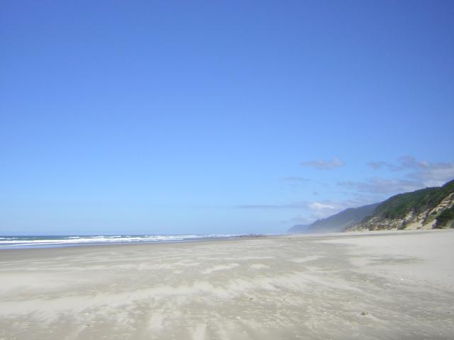 DSCN2242.jpg