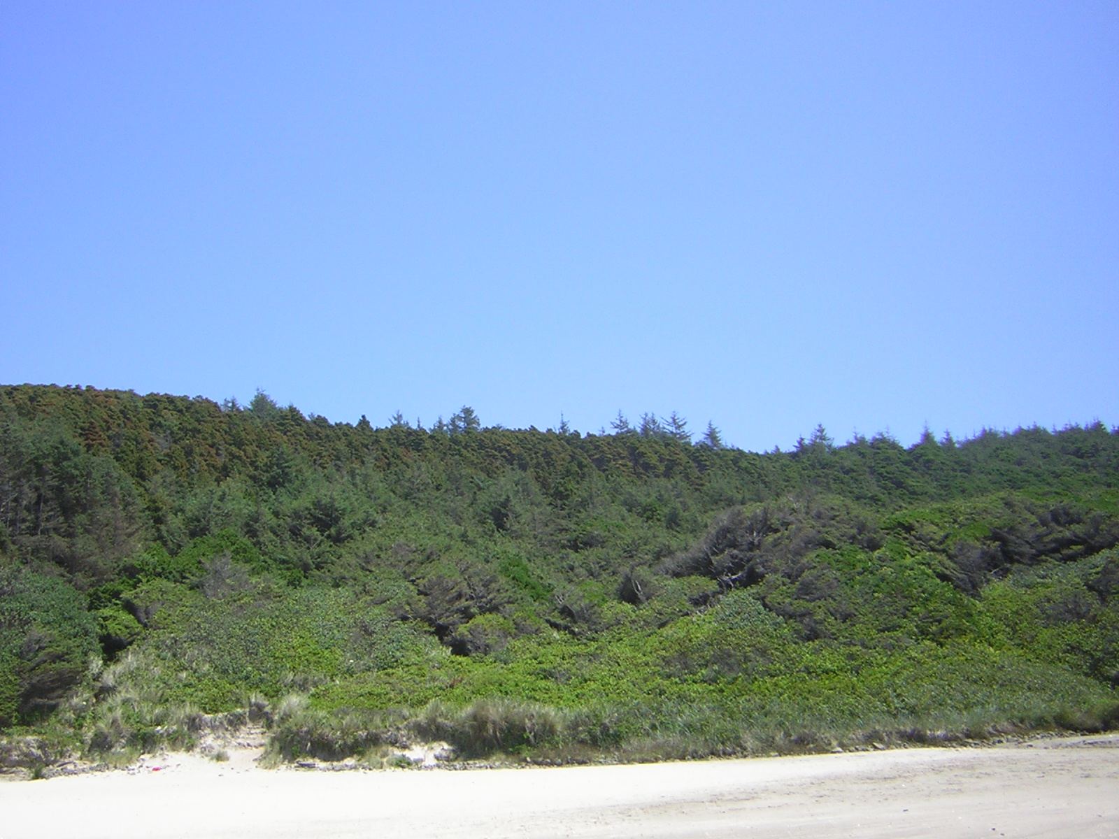 DSCN2243.jpg