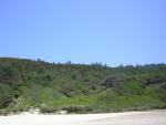 DSCN2243.jpg