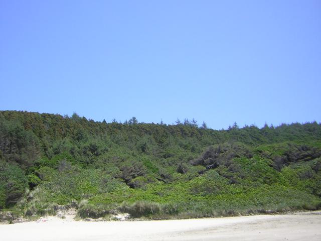 DSCN2243.jpg