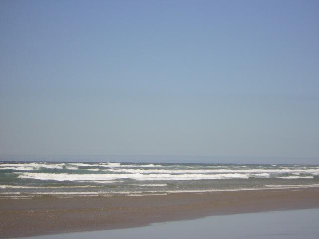 DSCN2244.jpg