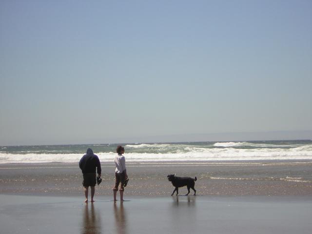 DSCN2247.jpg