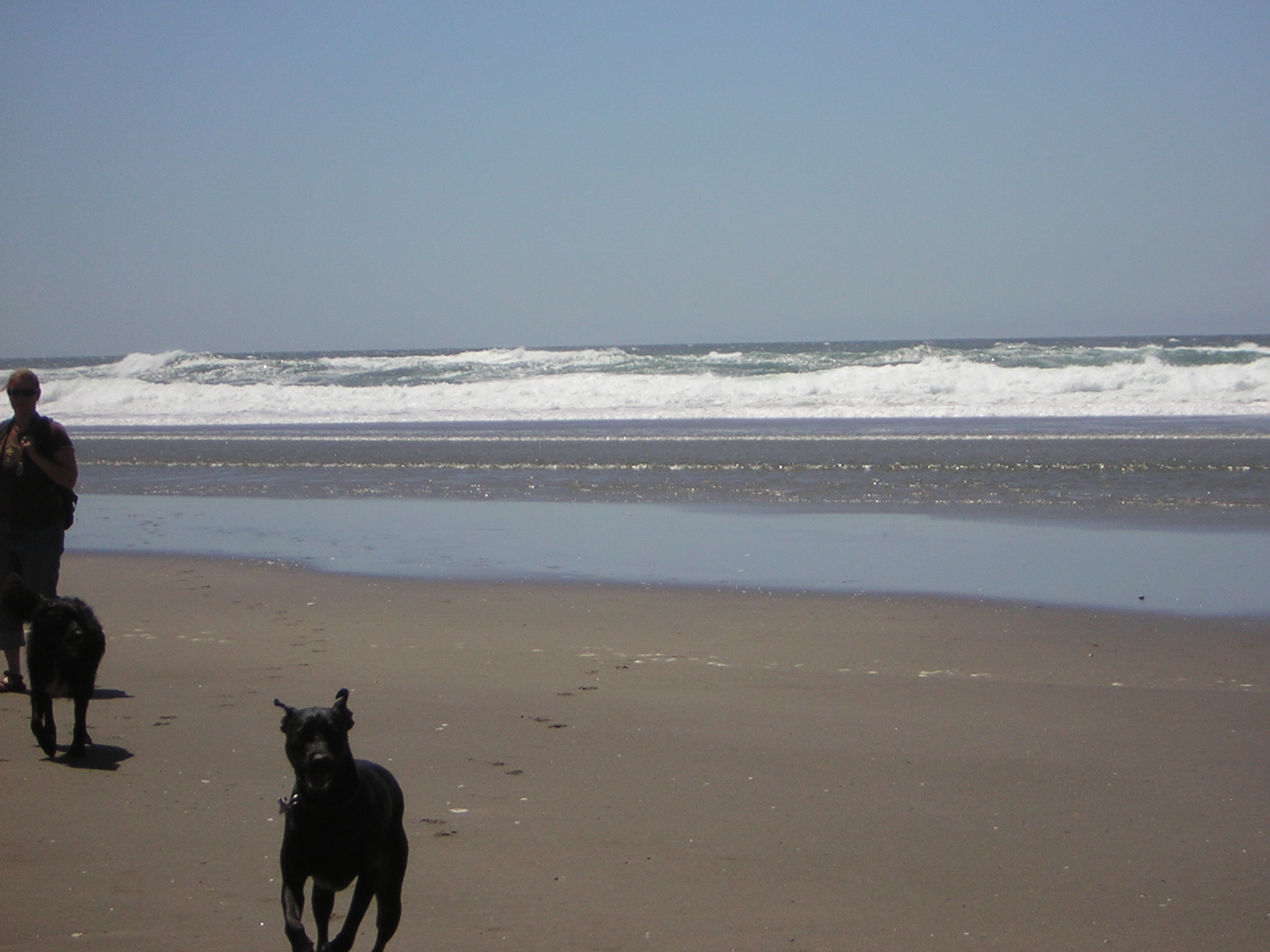 DSCN2250.jpg