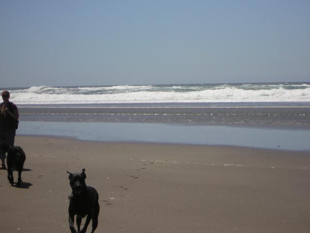 DSCN2250.jpg