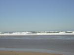 DSCN2251.jpg