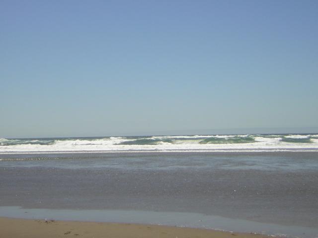 DSCN2251.jpg