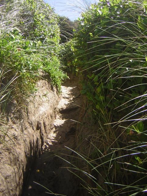 DSCN2255.jpg