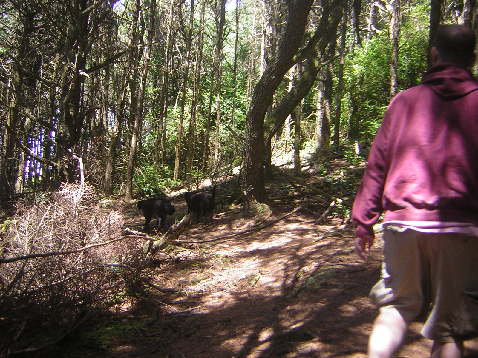 DSCN2256.jpg