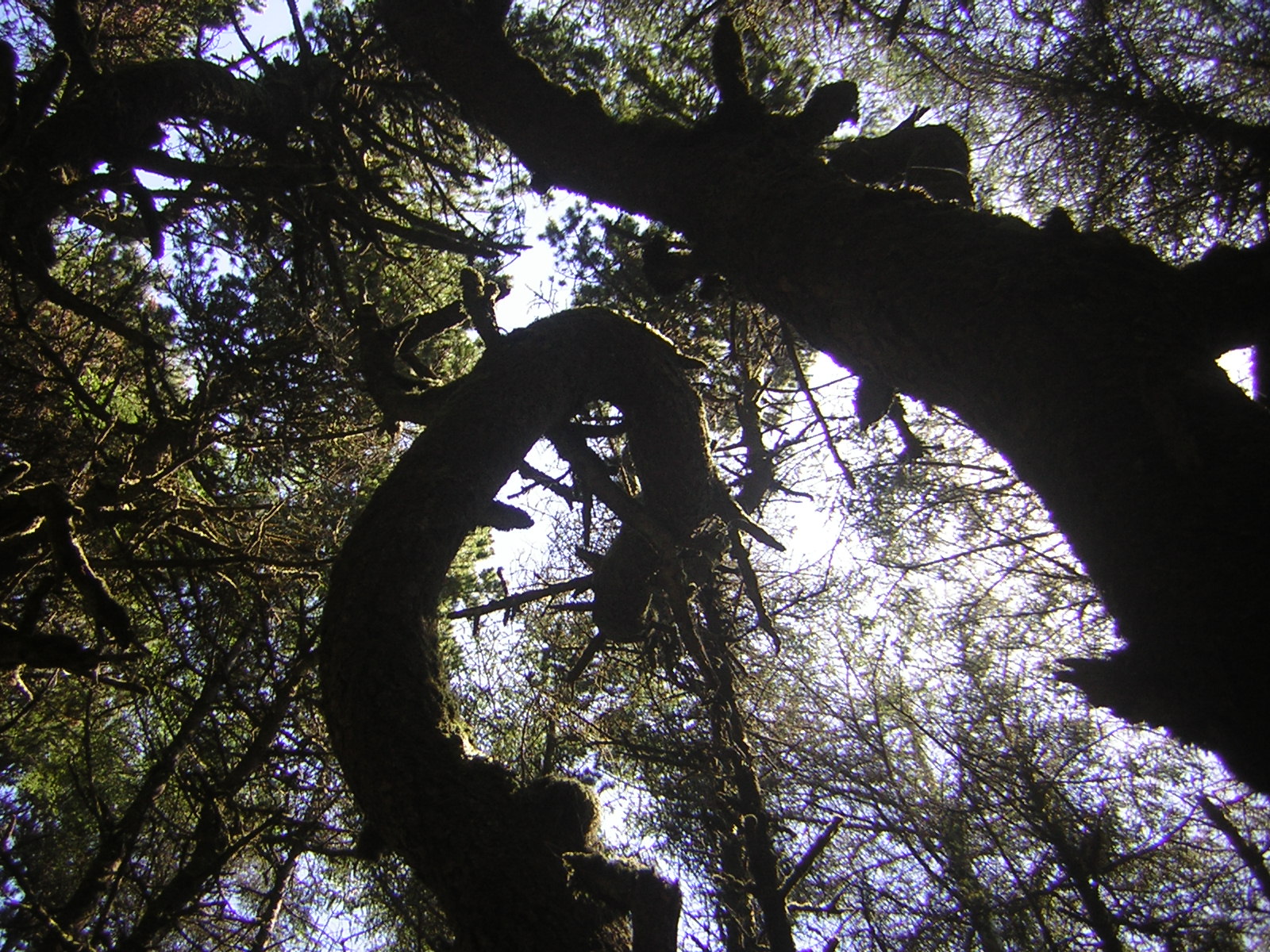 DSCN2257.jpg