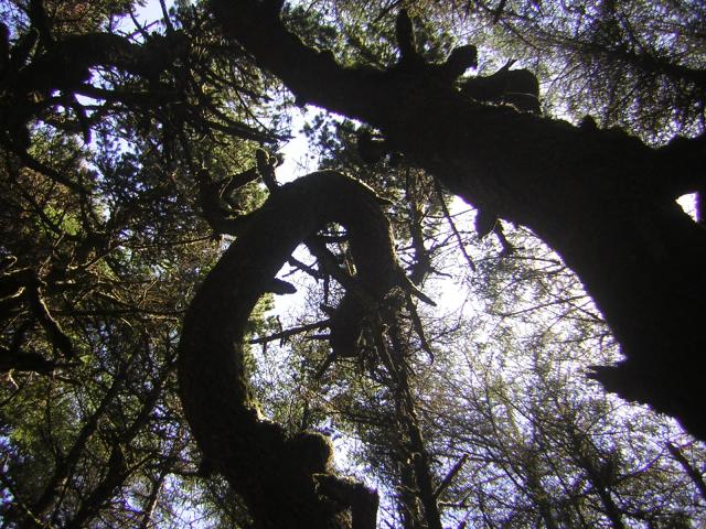 DSCN2257.jpg