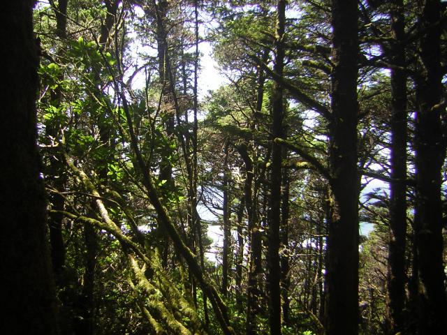 DSCN2258.jpg