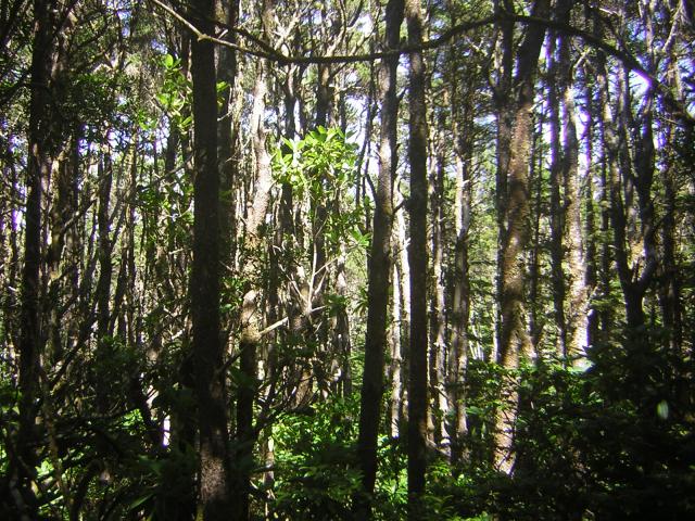 DSCN2259.jpg