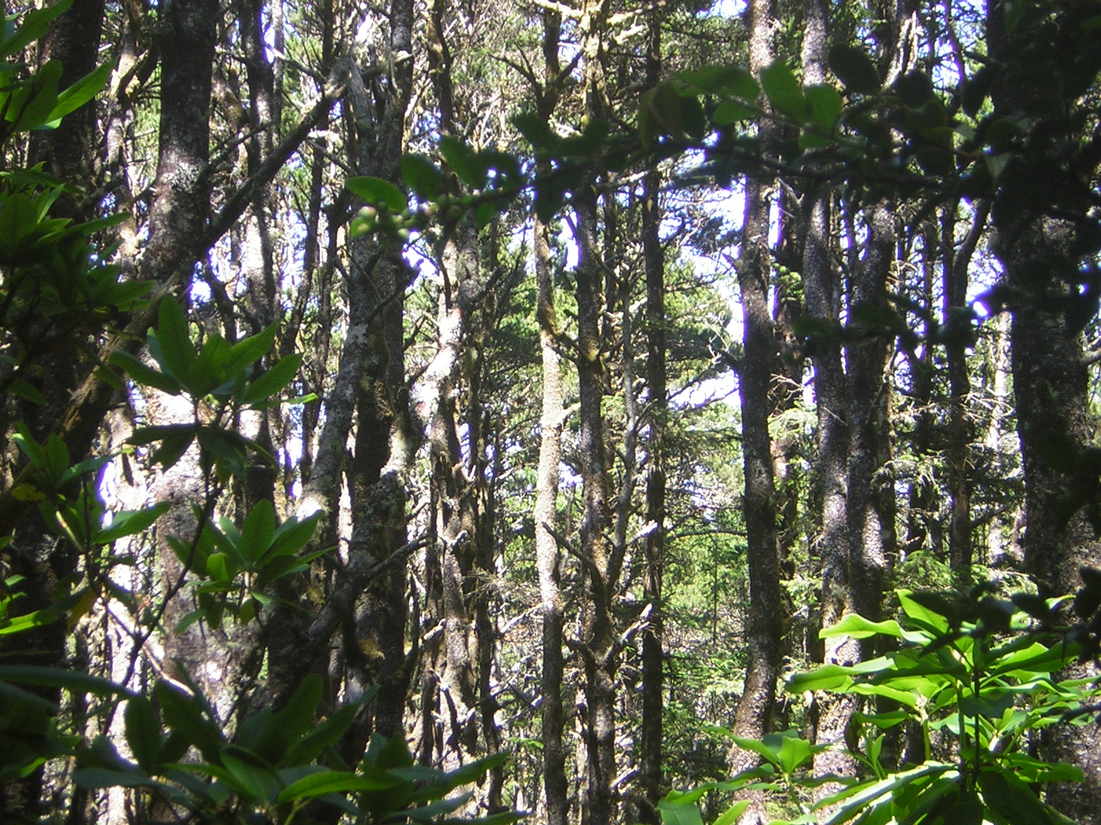 DSCN2260.jpg