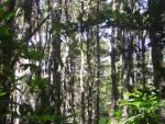 DSCN2260.jpg