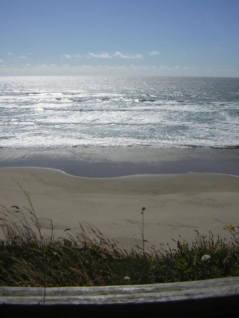 DSCN2262.jpg