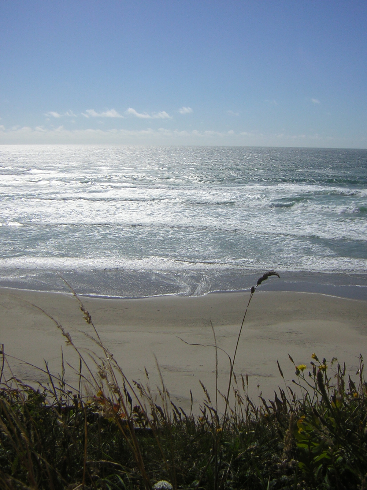 DSCN2263.jpg