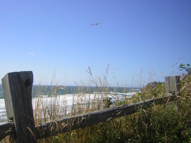 DSCN2264.jpg