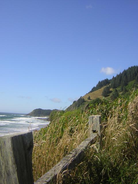 DSCN2267.jpg