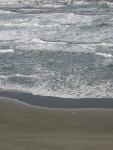 DSCN2268.jpg