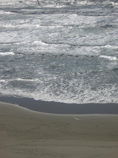 DSCN2268.jpg