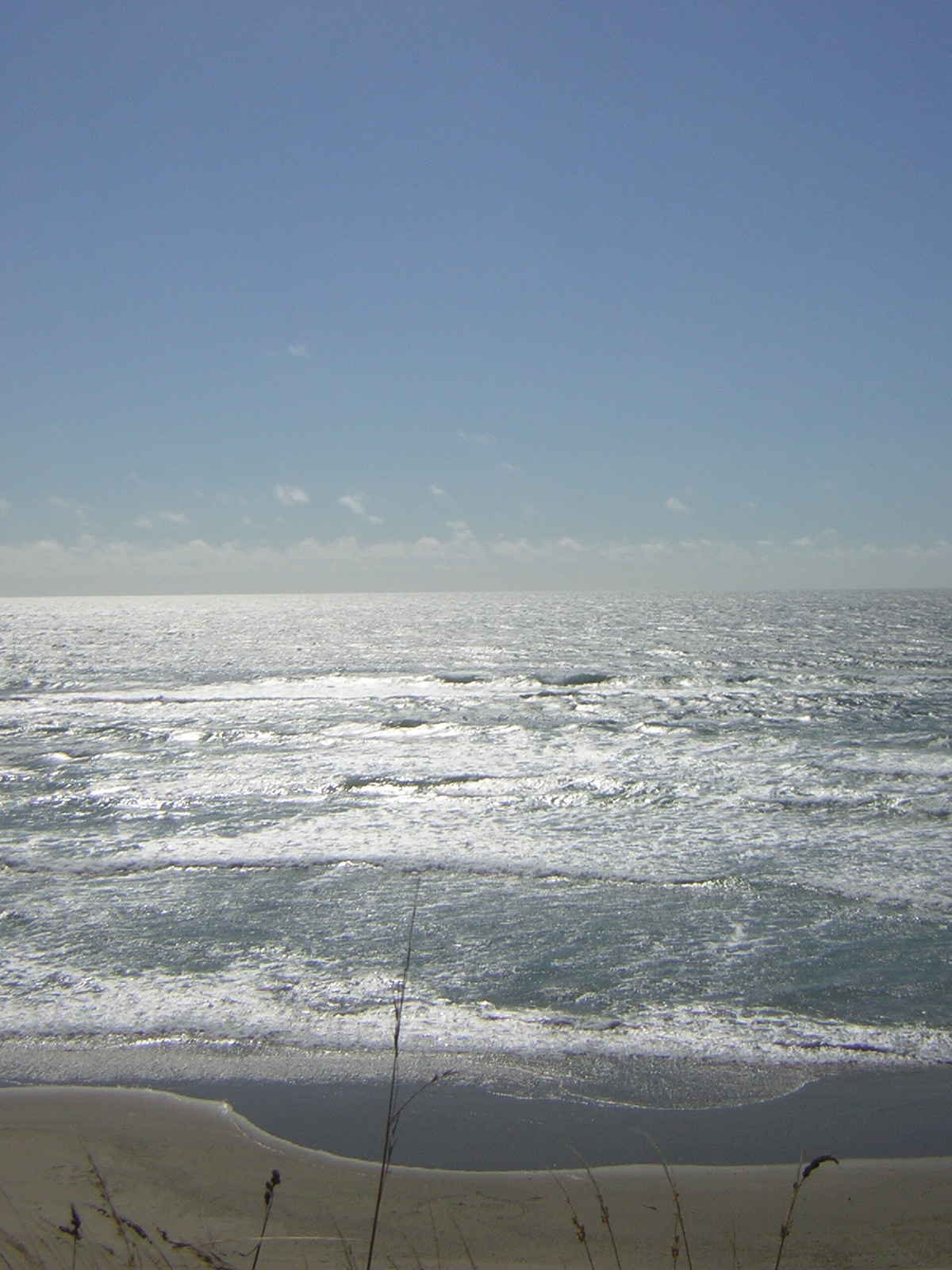 DSCN2269.jpg