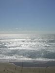 DSCN2269.jpg