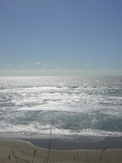 DSCN2269.jpg