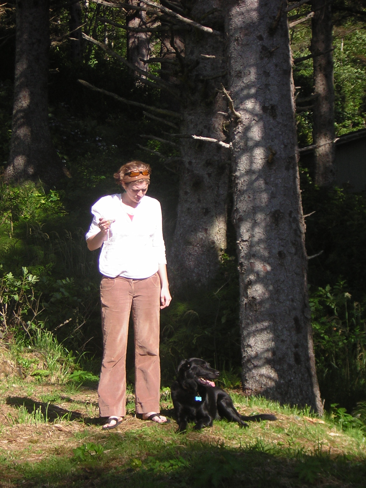 DSCN2271.jpg