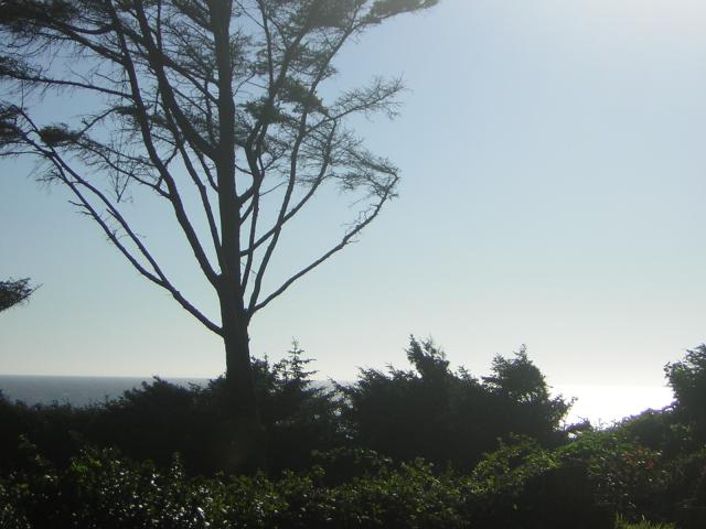DSCN2276.jpg