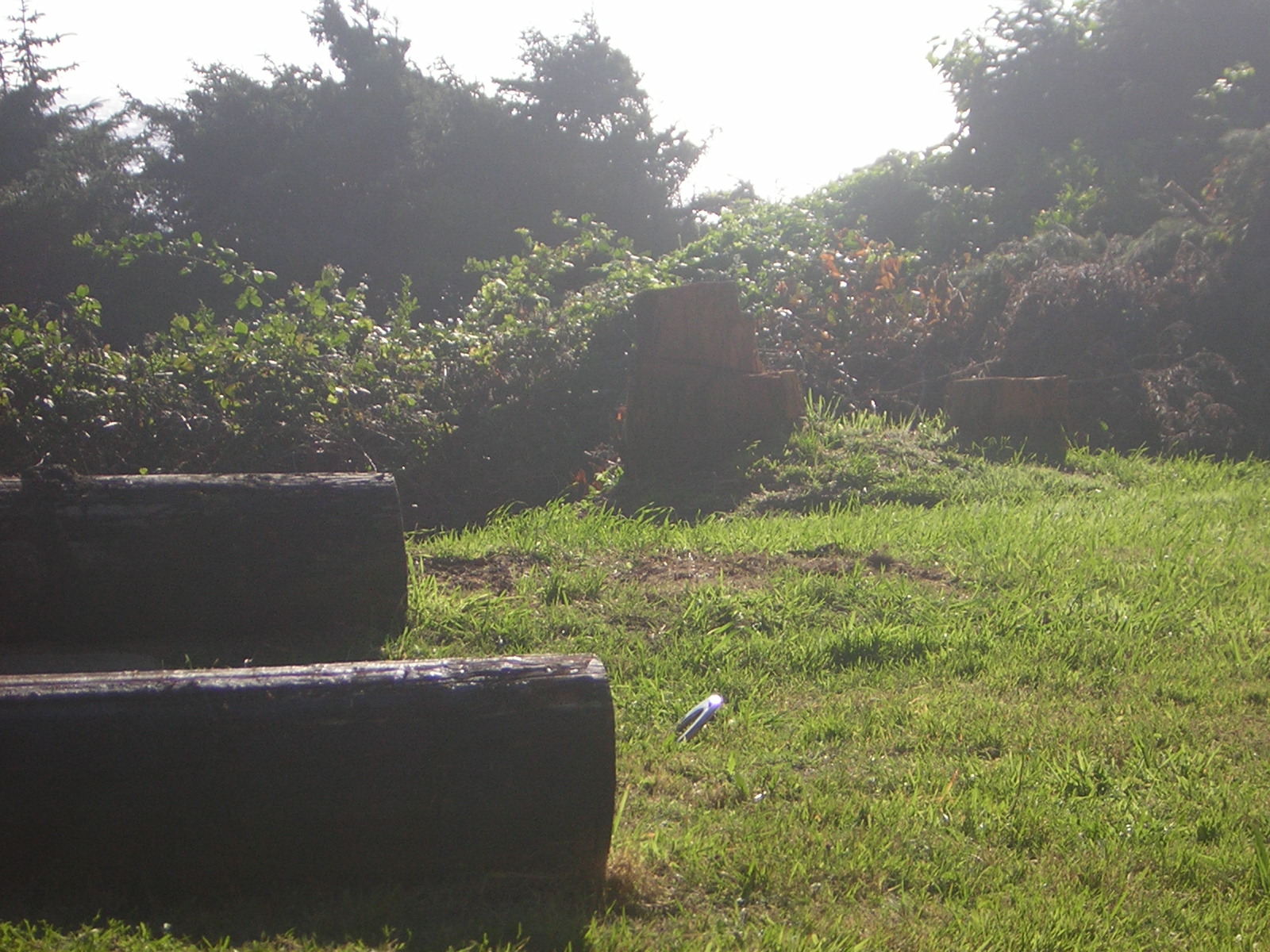 DSCN2277.jpg