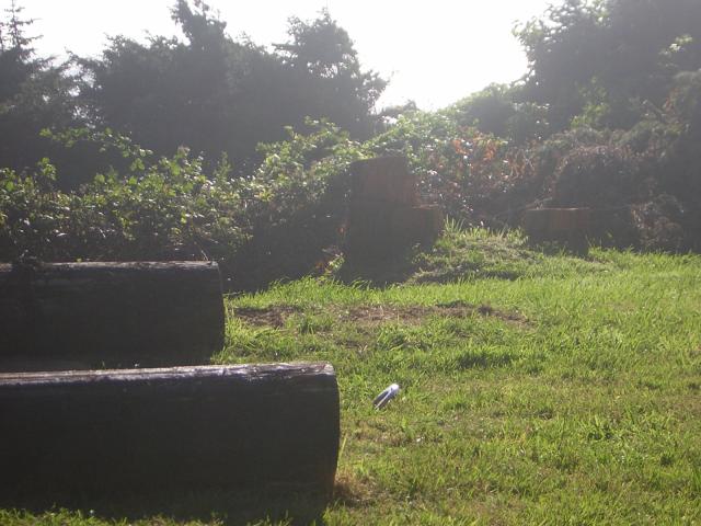 DSCN2277.jpg