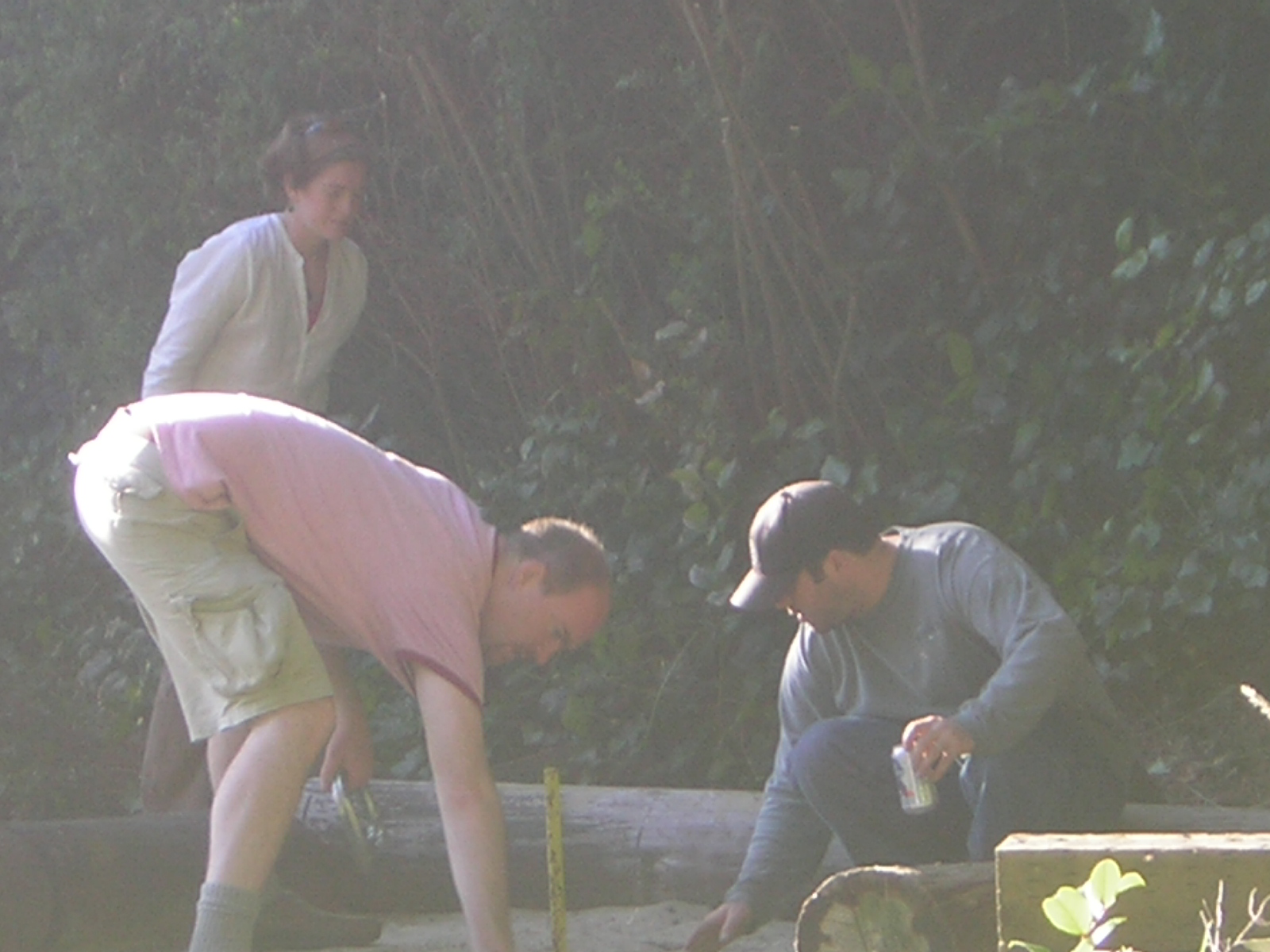 DSCN2294.jpg