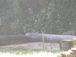 DSCN2307.jpg