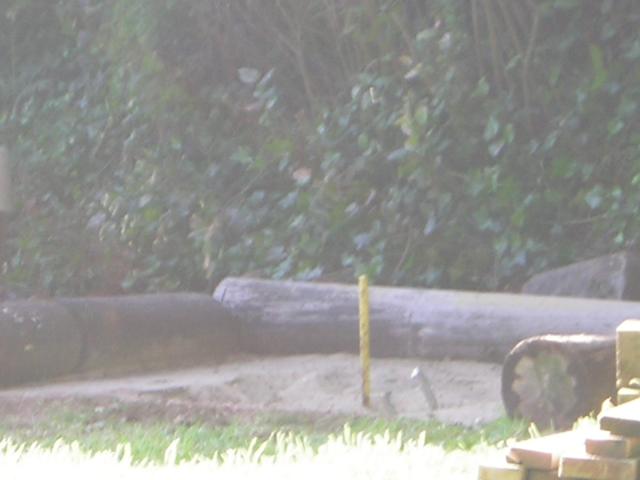 DSCN2307.jpg