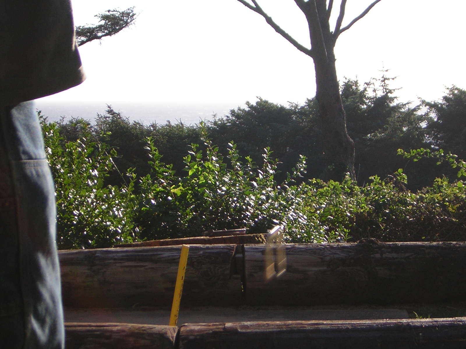 DSCN2312.jpg