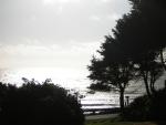 DSCN2329.jpg